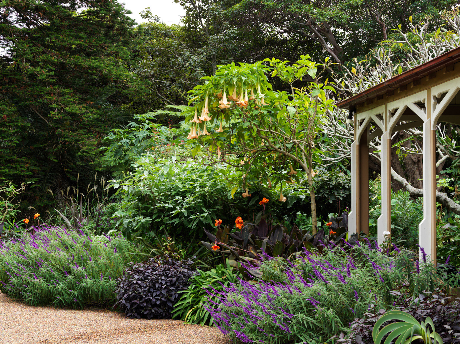 Bronte house, maintained by Pepo Botanic Design has many secret paths and expansive lawns, this two-acre garden epitomises a magical sanctuary full of surprises