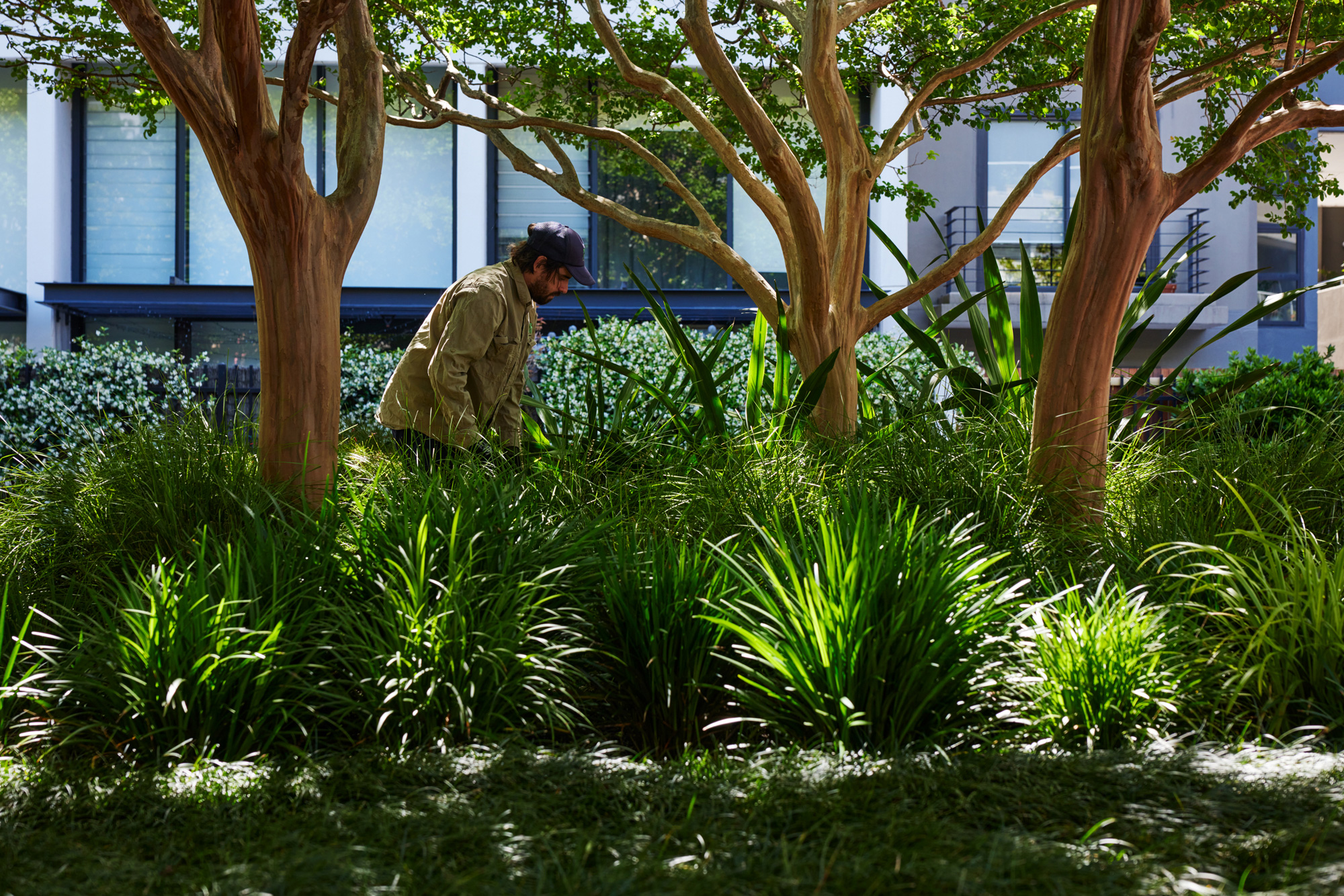 The grandeur of the garden speaks to this scale, featuring oversized planters of towering bamboo and a stunning array of crepe myrtle trees.